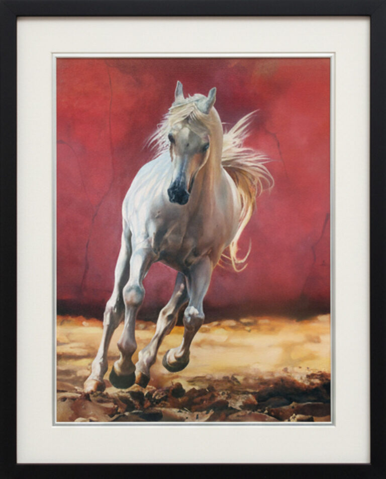 white stallion framed