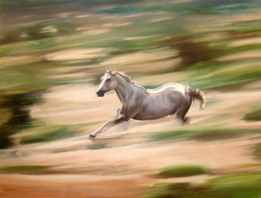 11 in to the run oil 36 x 48