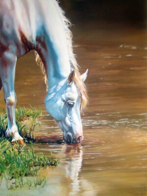 12 whit pony oil 30 x 4