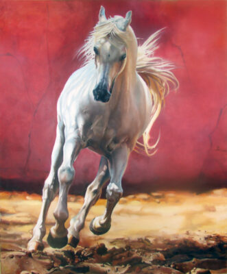 15 white stallion
