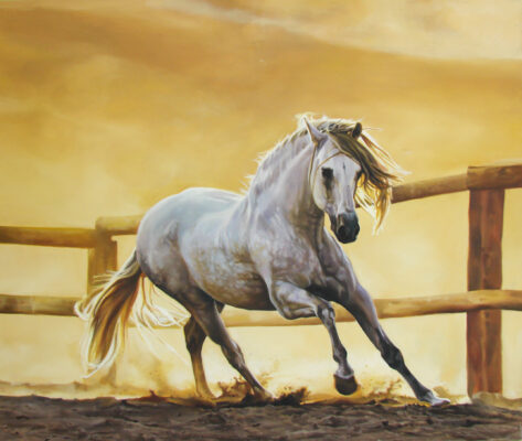20 evning routine oil 40 x 48