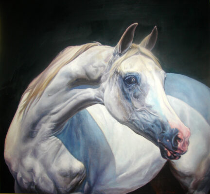 4 arabian stallion oil 36 x 36