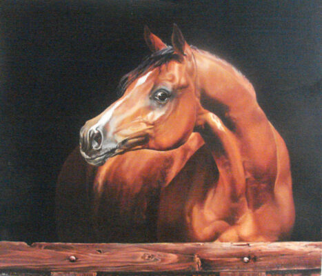 5 polish stallion oil 30 x 36