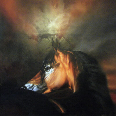 in to the flash oil 40 x46